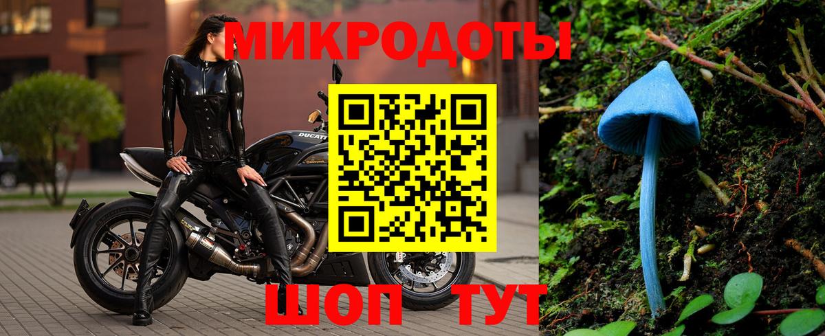 Псилоцибиновые грибы Cubensis  хочу наркоту  Заволжье  Вход с VPN 