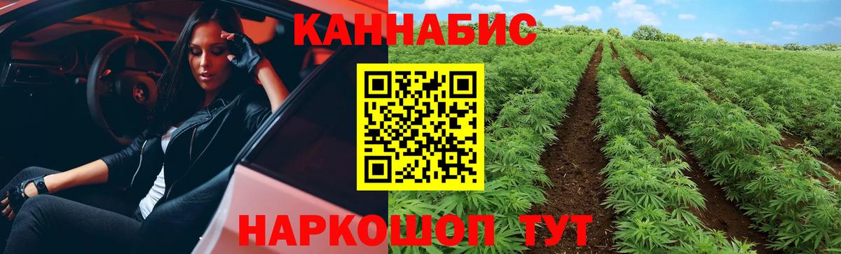 Заволжье  Канабис THC 21%  Вход с VPN  Конопля Bruce Banner  Бошки марихуана семена 